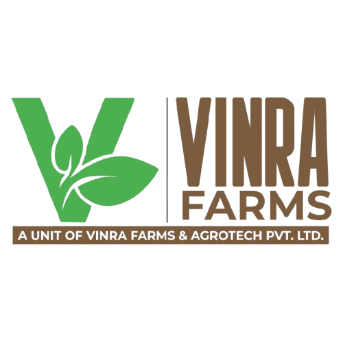 whatsapp image 2025 12 26 at 10.55.17 am removebg preview