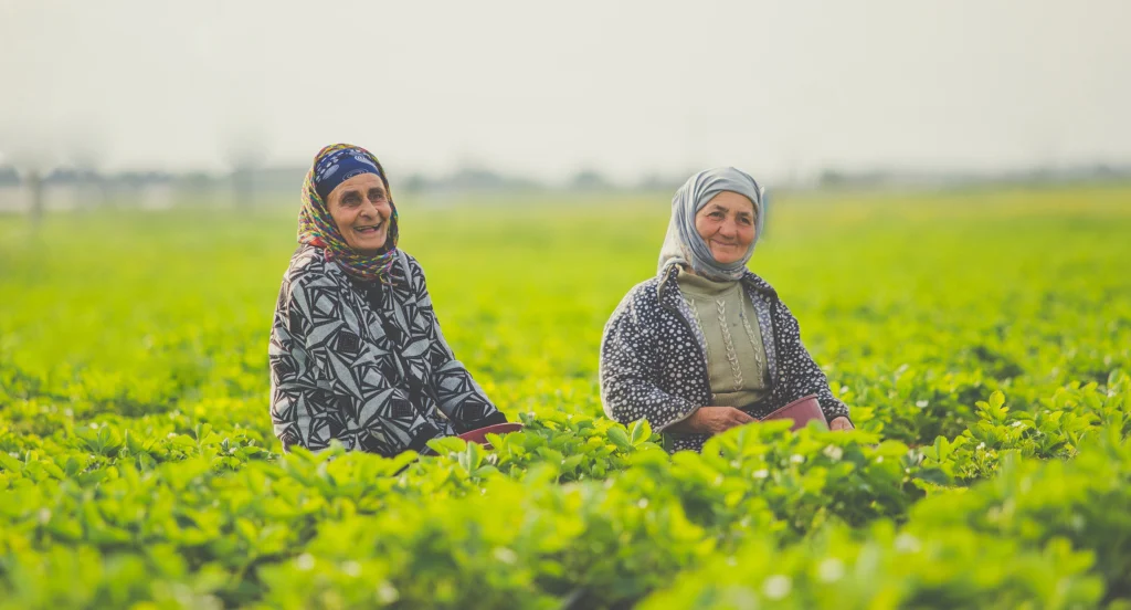 two female workers working smiling tea plantation